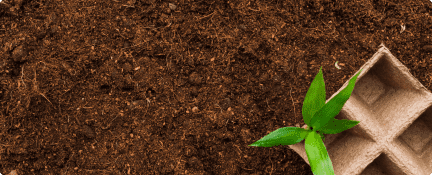 Bio Soil