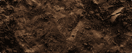 Compost