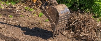 Tree And Stump Removal