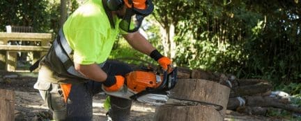 Tree And Stump Removal