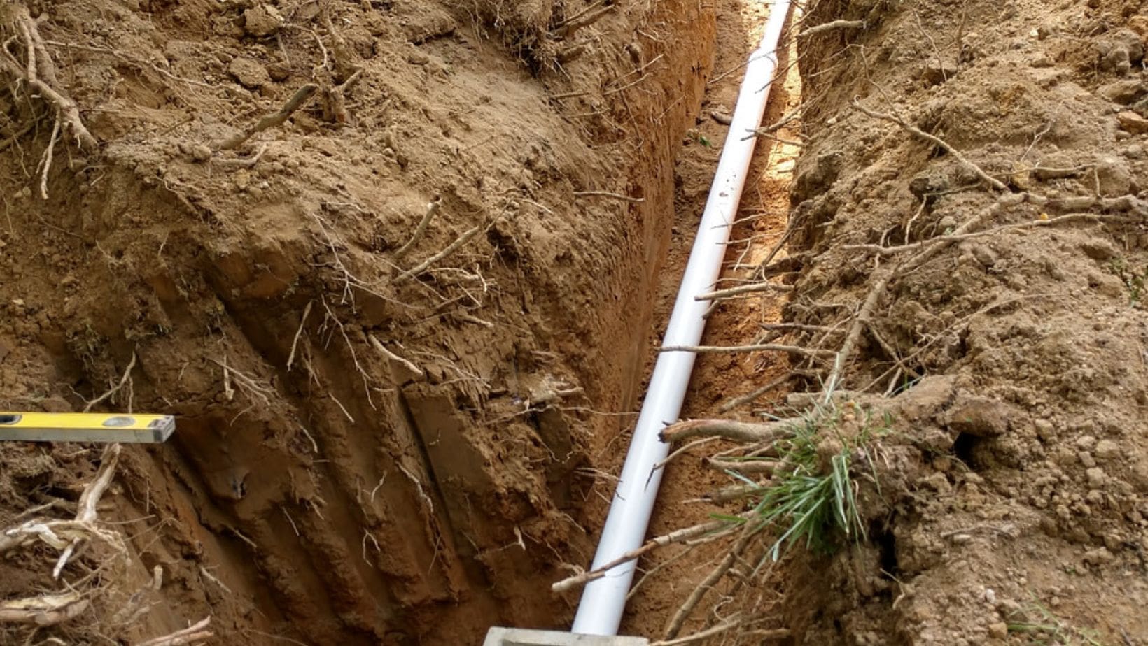 From Neutral to Bold Interior Design Trends That Will Dominate 2025 Septic Repairs